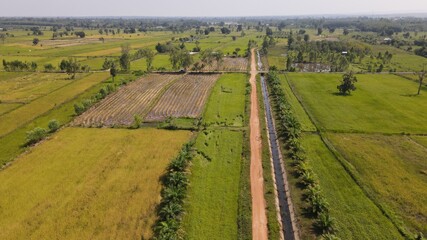 Fototapeta na wymiar Top view rice field landscape.
