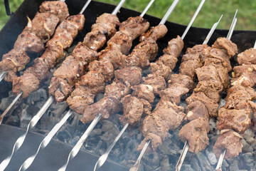 pork barbecue on the grill close-up