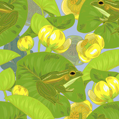 Yellow water Lily flowers and leaves, nuphar lutea,dragonflies and frogs, pond and lake plants and animals, seamless vector illustration
