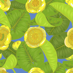 Yellow water Lily flowers and leaves, nuphar lutea, pond and lake plants, seamless vector illustration