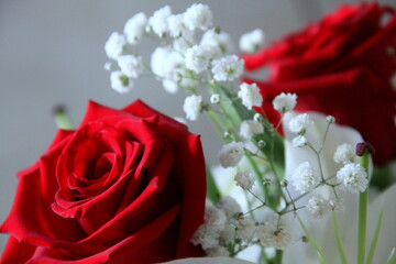 Red roses bouquet with white flowers