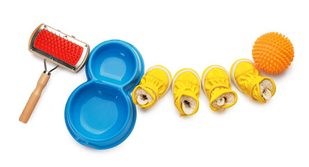 Set of pet accessories on white background