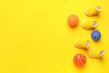 Set of pet accessories on color background