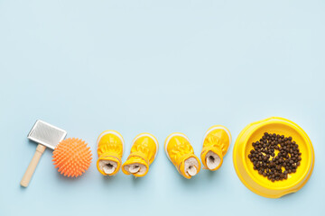 Set of pet accessories on color background