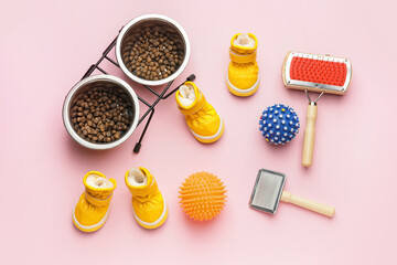 Set of pet accessories on color background