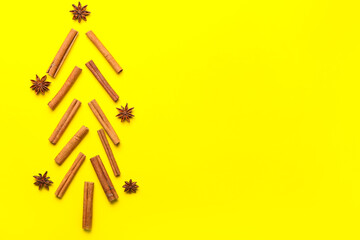 Cinnamon sticks and anise on color background