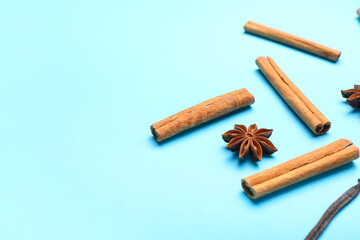 Cinnamon sticks and anise on color background