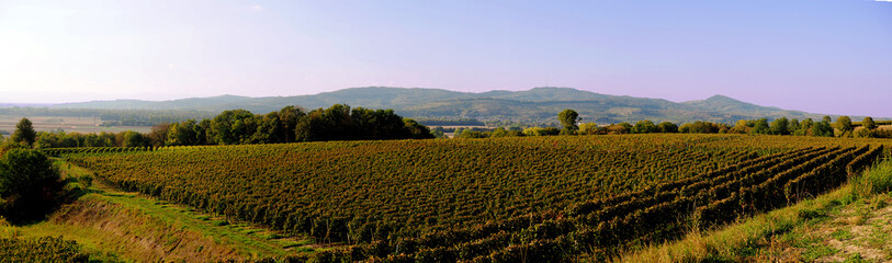 Kaiserstuhl vom Tuniberg aus