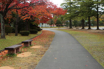 紅葉の公園の通路