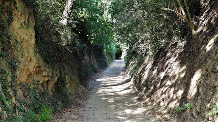 Löshohlweg Buntehahlengasse