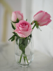 pink rose romance beautiful Flower symbol Love in clear glass on marble table