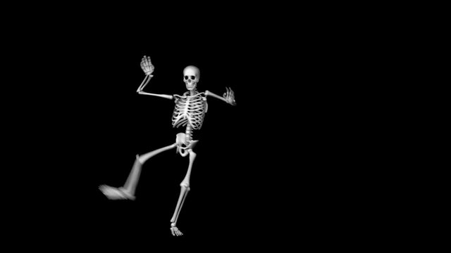 Skeleton Performing Capoeira with Alpha Matte - 3D Illustration