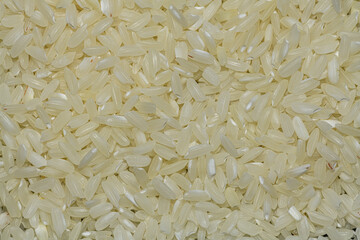raw white rice seeds in detail
