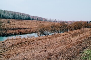 little river in spring in a clear morning