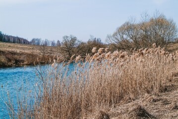 little river in spring in a clear morning