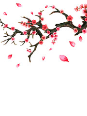 Naklejka premium Hand drawn Plum apricot blossom greeting card, calendar, planner inspired by chinese Korean and Japan kimono yukata blossom background backdrop