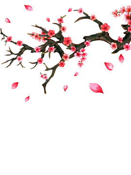 Hand drawn Plum apricot blossom  greeting card, calendar, planner inspired by chinese Korean and Japan kimono yukata blossom  background backdrop
