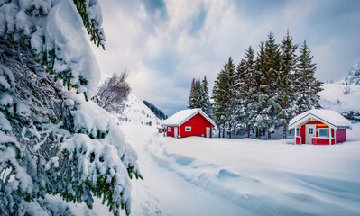 Traditional Norwegian red wooden houses under the fresh snow. Impressive winter scene of Lofoten...