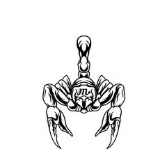 scorpio zodiac illustration