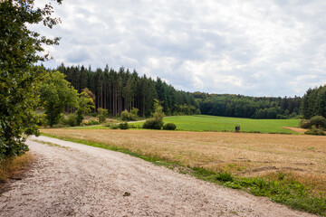 Fototapeta na wymiar Country road near Lotzbeuren, Germany on a summer day. 