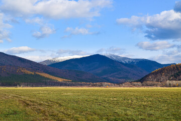 Sakhalin meadows