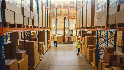 Retail Warehouse full of Shelves with Goods in Cardboard Boxes, Workers Scan and Sort Packages,...