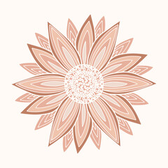 Vector illustration of delicate pink dahlia or sunflower flower. Spring flower isolated on white background. Printing. Logo for a beauty studio. Delicate pink botanical design element