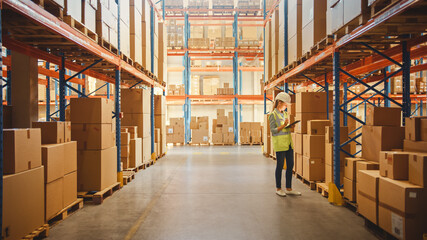 Retail Warehouse full of Shelves with Goods in Cardboard Boxes, Female Worker Checks and Sorts Packages for Delivery. Distribution Logistics Center.