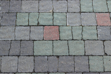 Photo of brick pavement at park. pedestrian crossing.