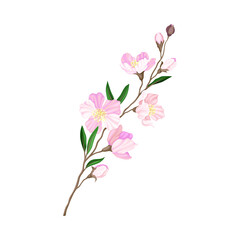 Florescent of Flower Branch with Lush Petals and Green Leaves Vector Illustration