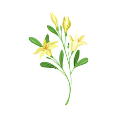 Obraz na płótnie Canvas Florescent of Flower Branch with Lush Petals and Green Leaves Vector Illustration