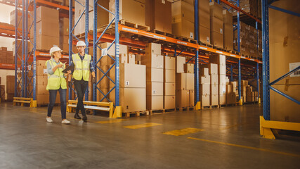 Male, Female Supervisors Holding Digital Tablet Talk about Product Delivery in Retail Warehouse full of Shelves with Goods in Cardboard Boxes. Workers in Distribution Logistics Center. Low Angle Shot © Gorodenkoff