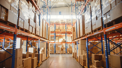 Retail Warehouse full of Shelves with Goods in Cardboard Boxes and Packages. Logistics, Sorting and Distribution Facility for Product Delivery.