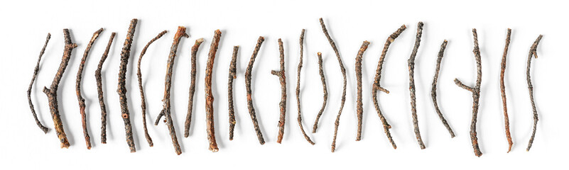 Fototapeta premium Various dry branches on a white background. Top view, flat lay.