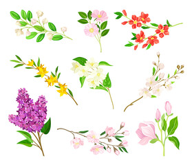 Bloomy Flower Branches with Tender Florets Vector Set