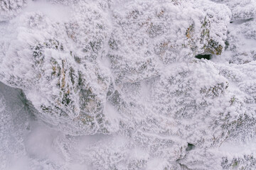 Fototapeta premium Christmas tree branches covered with snow and ice