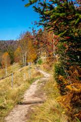 Obraz premium Der Menzenschwander Geißenpfad im Herbst