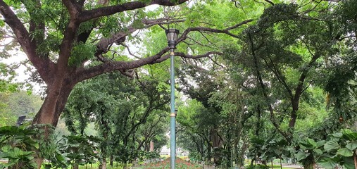 Green always the best