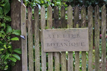 Atelier de botanique