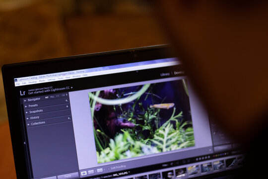 New York, USA - 9 April 2020: Adobe Lightroom application on laptop screen close up. Man using pc with blurry background, Illustrative Editorial