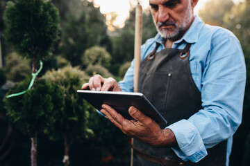 middle aged gardener working with tablet in tree nursery