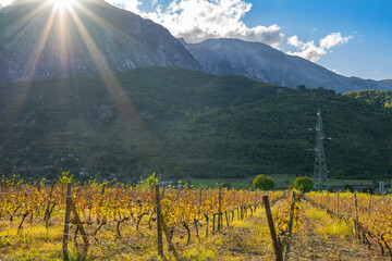 Beautiful sunrise over mountains vineyard