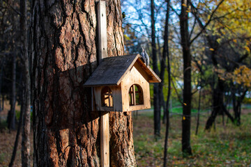 birdhouse on a tree with birds. autumn forest. Photo taken with selective focus and noise effect