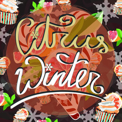 Illustration with grapefruits and sweets on the red background and inscription 'Citrus winter' 