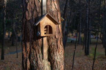 birdhouse on a tree with birds. autumn forest. Photo taken with selective focus and noise effect