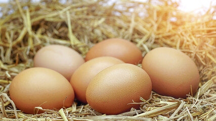 eggs on a haystack.Eggs in a nest.