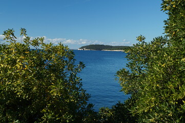 Sunny day in October 2016. Autumn on the coast of Pula, Istria, Croatia. View on Adriatic sea. Rocks.
