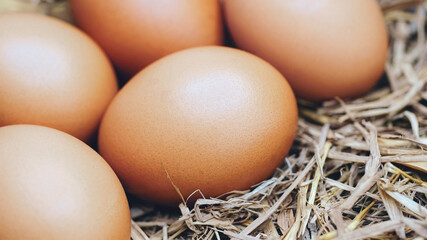 eggs on a haystack.Eggs in a nest.