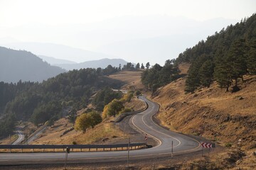 green fir trees in yellow and red colored autumn mountain forest.artvin 
