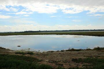 Etang observatoire à oiseaux